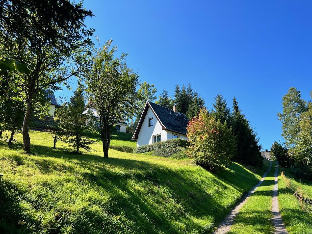 Urige Berghuette Mit Kamin Und Sauna Im Erzgebirge Nahe Schwarzwassertal Pobershau Экстерьер фото