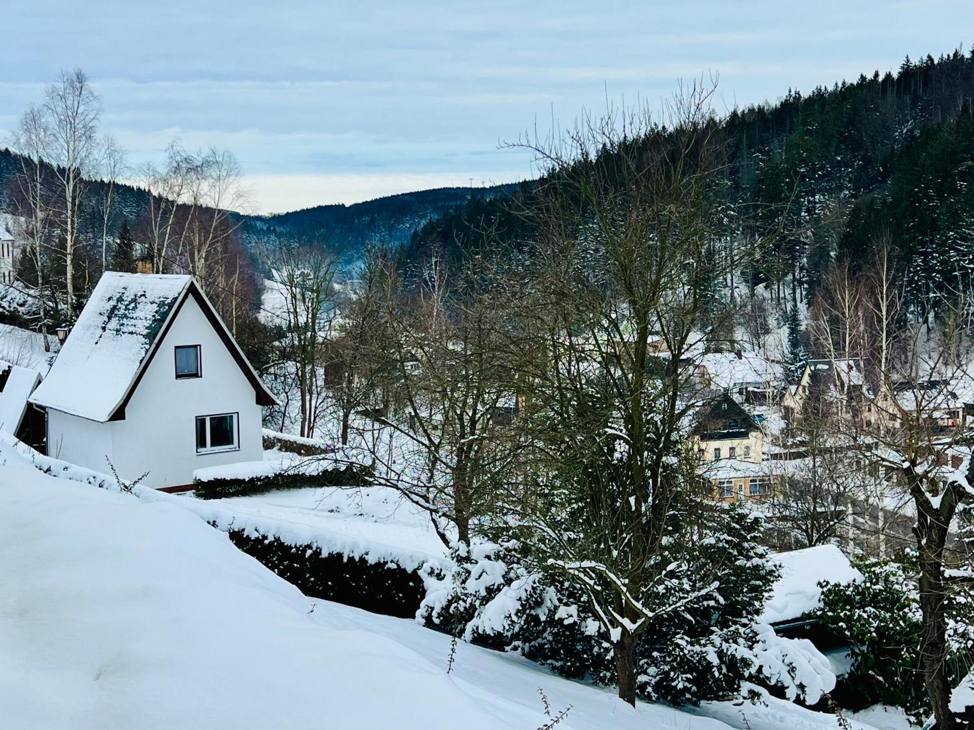 Urige Berghuette Mit Kamin Und Sauna Im Erzgebirge Nahe Schwarzwassertal Pobershau Экстерьер фото